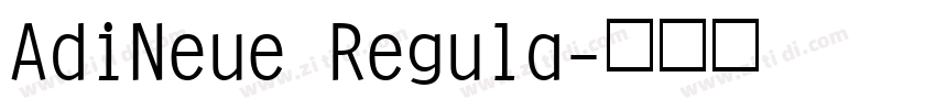 AdiNeue Regula字体转换